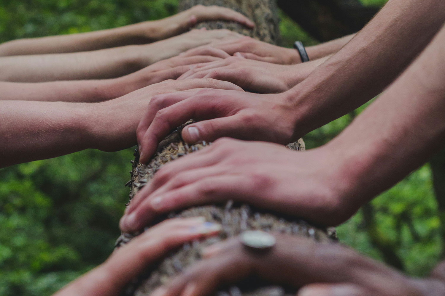 People partnering to lift wood